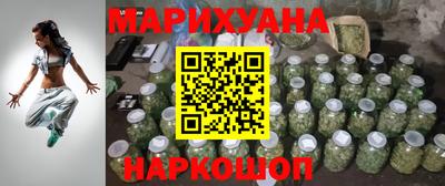 тгк Бийск