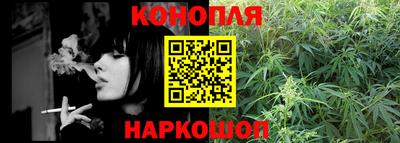 тгк Бийск