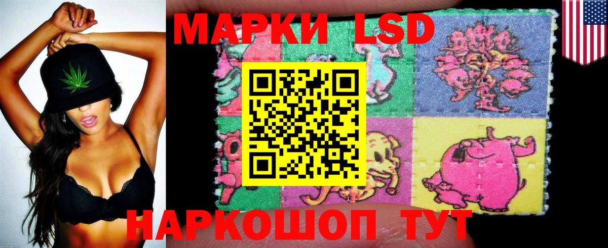 Марки N-bome  купить закладку  Кинель  Наркотические марки 1500мкг  Наркотические марки 1500мкг  Вход с VPN 