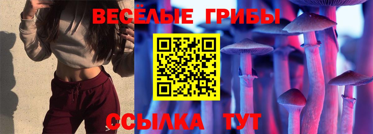 Галлюциногенные грибы мицелий Кинель